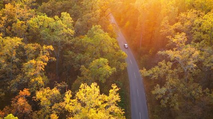 Aerial view on car driving through autumn forest road. Scenic autumn landscape