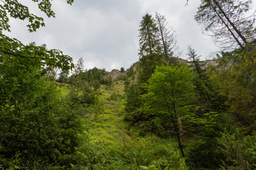 Obraz premium Widok na rezerwat Biała Woda, Pieniny