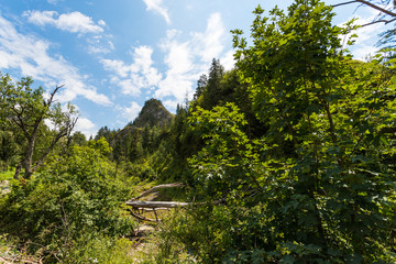 Pieniny Biała Woda Rezerwat