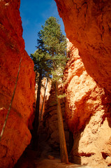 Bryce Canyon