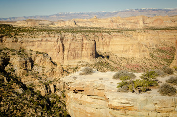Utah