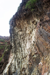 Low angle of green grass mountain overcast