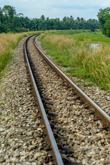 The railroad lines are round, filled with colorful trees looking over the railways as well as river bridges.