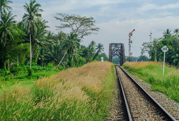 The railroad lines are round, filled with colorful trees looking over the railways as well as river...