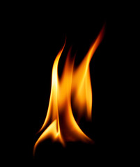 Fire flames abstract on black background.