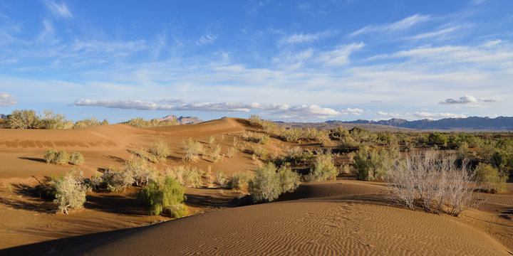 Iran, Orange sand dunes by the Mesr oasis on the Dasht-e Kavir desert near Khur city