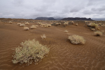 Iran, Orange sand dunes on the Dasht-e Kavir desert near Khur city