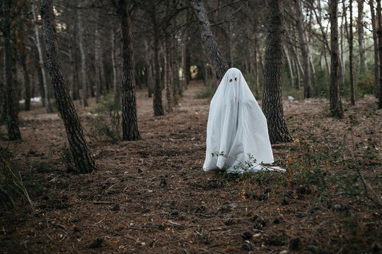 Spooky ghost in forest.