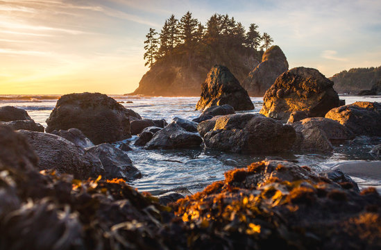 Rugged Coast at Sunset