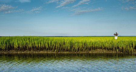 marsh grass and coastal barrier island inlet at high tide and a brown pelican stretching his wings while resting on a sign post