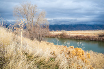 Bear River During a Storm