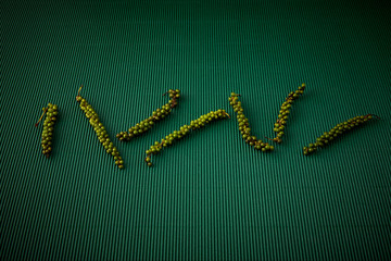 pepper With  corrugated green paper