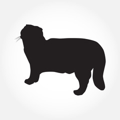 Cat black silhouette on white vector illustration