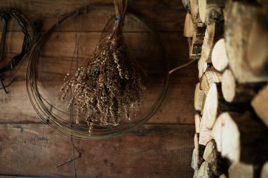 Dried basel still life