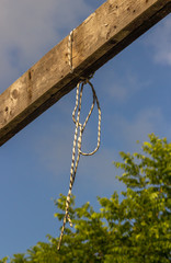 Fototapeta premium A multi colored nylon rope is tied to a wooden beam and hangs down to hold objects that will be painted. A blue sky and out of focus trees are in the background.