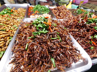 Fried insect as food,strange food in thai some people eat it as snack