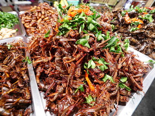 Fried insect as food,strange food in thai some people eat it as snack
