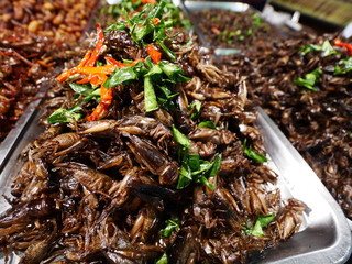 Fried insect as food,strange food in thai some people eat it as snack