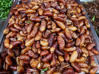 Fried insect as food,strange food in thai some people eat it as snack