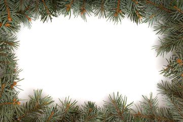 Fototapeta na wymiar White background with and Christmas tree branches