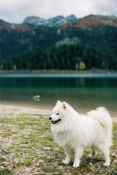 North of Montenegro