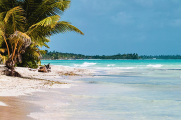 Obraz na płótnie Canvas Saona Island near Punta Cana, Dominican Republic