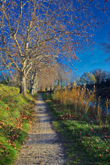 Fototapeta premium Canal du Midi in France in winter