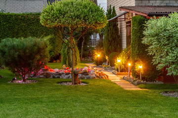 Garden illuminated by lamps - 237323208