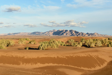 Fototapeta na wymiar Orange sand dunes on the Dasht-e Kavir desert near Mesr oasis and Khur city, Iran