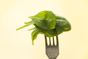 Fresh spinach leaves strung on a fork. Healthy eating concept