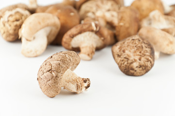 Shiitake Mushrooms