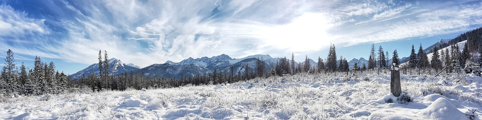 Beautiful panorama of snow-covered valley with mountains in the background