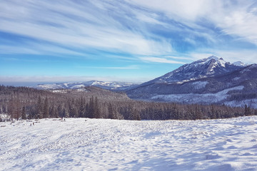 Beautiful panorama of snow-covered valley with mountains in the background
