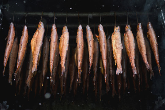 Trout fish smoked in traditional oven