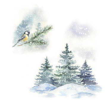 Watercolor winter bird illustration. Perfect for print, christmas and new year greeting cards