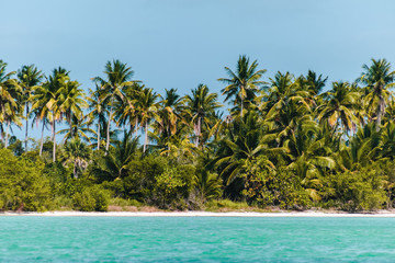 Saona Island near Punta Cana, Dominican Republic