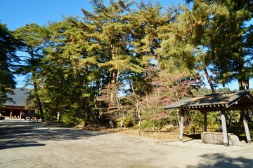 毛越寺