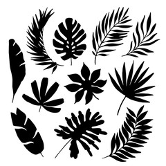 tropical leaf silhouette elements set isolated on white background