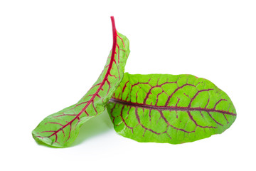 fresh beet leaf isolated on white background
