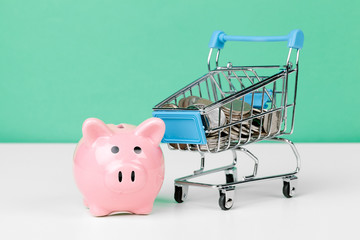 Pink piggy bank with shopping cart
