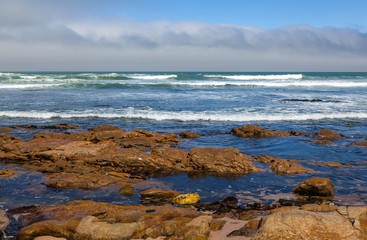 Cape fur Seal colony at Cape Cross, Namibia, breading season.