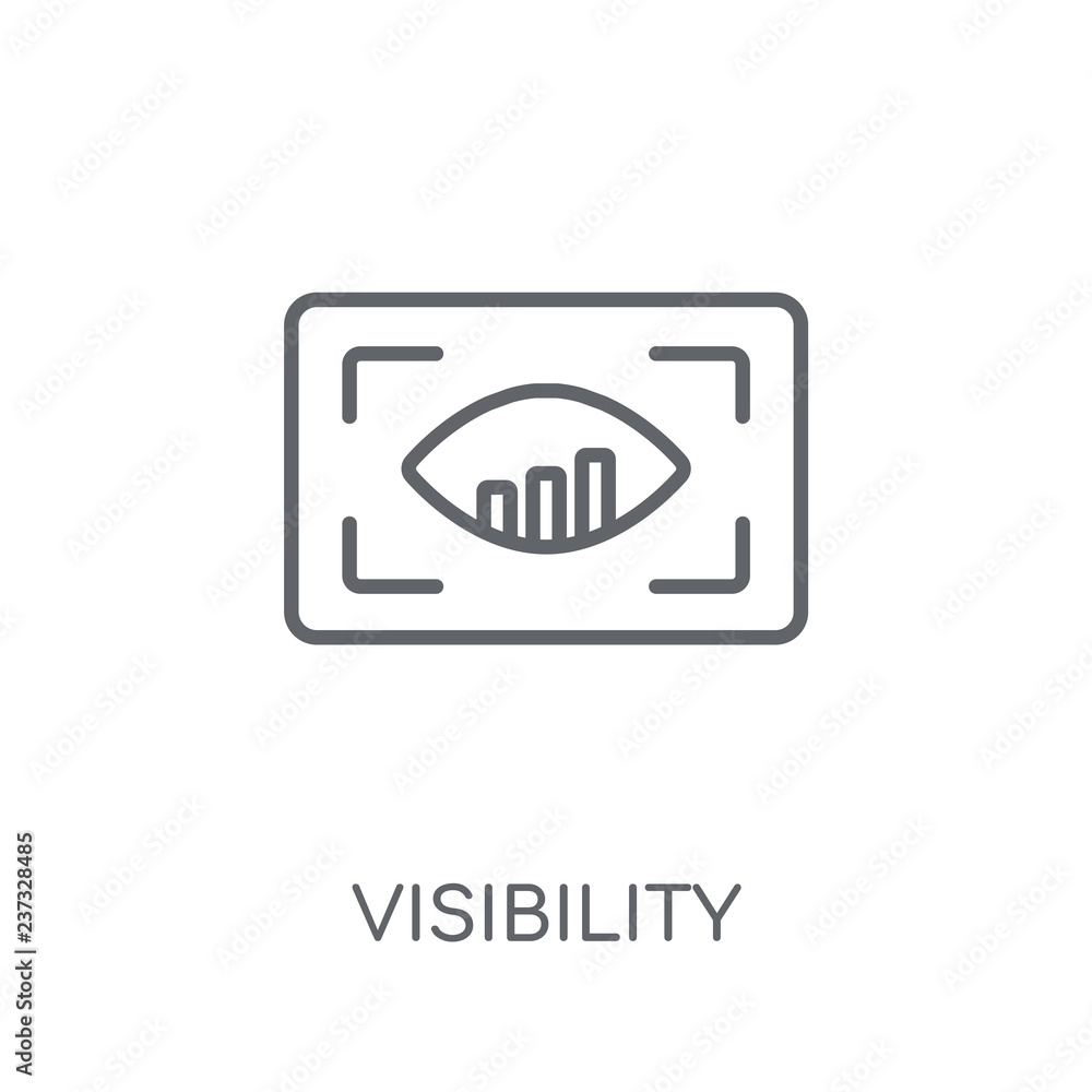 Poster visibility linear icon. modern outline visibility logo concept on white background from programming 