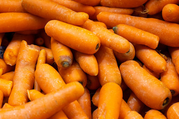 Fresh carrots in market