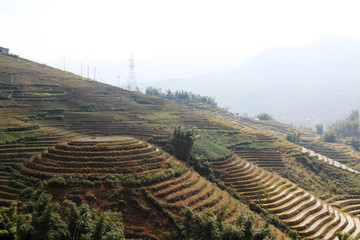 Sapa valley landscape, Vietnam	