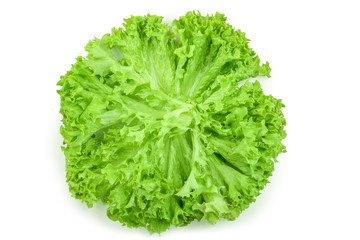 Lettuce leaf isolated on white background close up