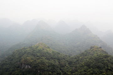 Naklejka premium Cat Ba National Park, Vietnam