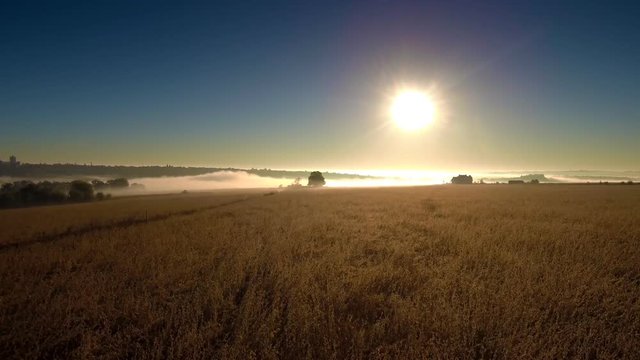 Drone flight over the field at foggy morning. FullHD 1080p.