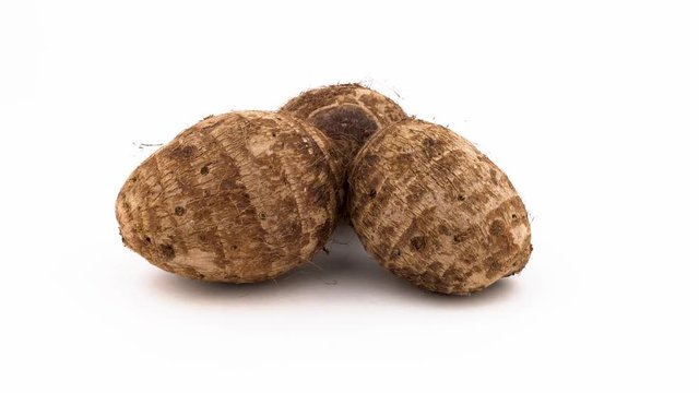 Three whole taro corms. Rotating on the turntable. Isolated on the white background. Close-up. Macro.