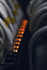 Fototapeta premium Internet Network in my work