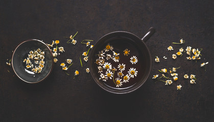 Healthy chamomile tea on dark background, top view. Herbal medicine and  medicinal herbs concept.